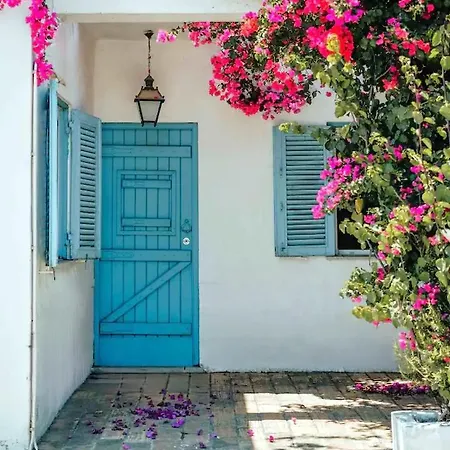 Vakantiehuis Casa Da Figueira *